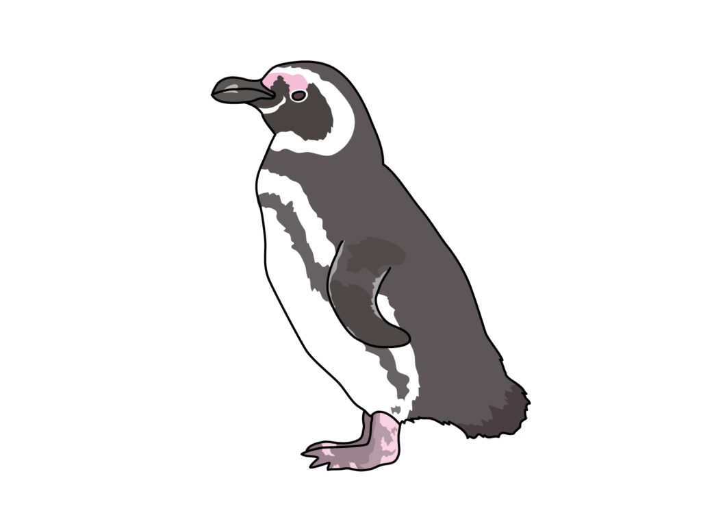 2022aquarium-005