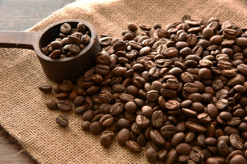 コーヒー豆イメージ